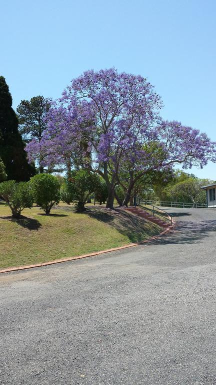 Jacaranda Motor Lodge Grafton Eksteriør billede