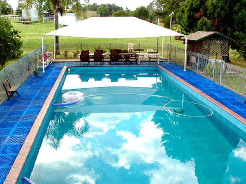 Jacaranda Motor Lodge Grafton Eksteriør billede