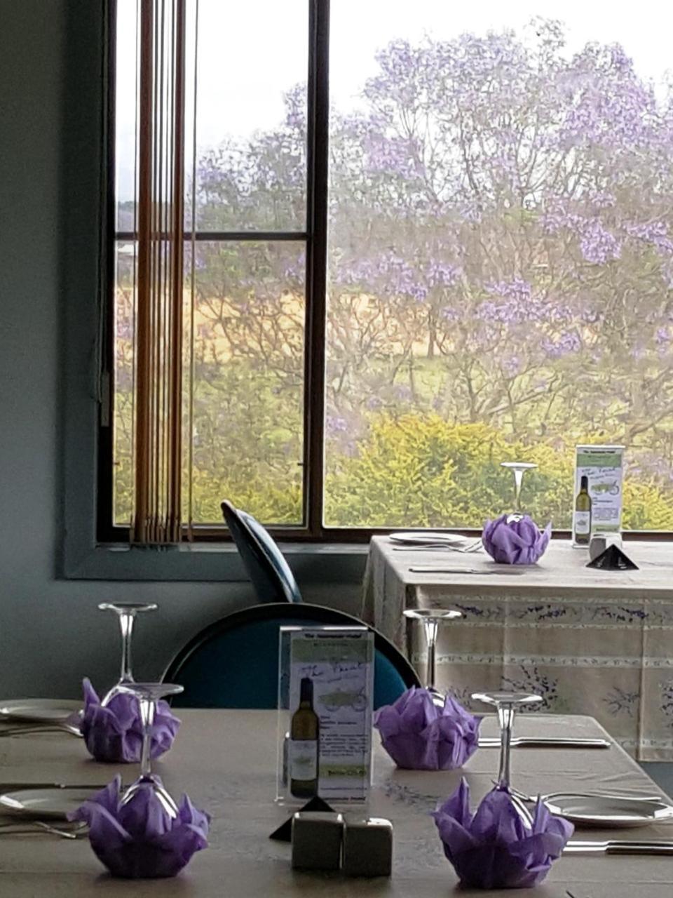 Jacaranda Motor Lodge Grafton Eksteriør billede
